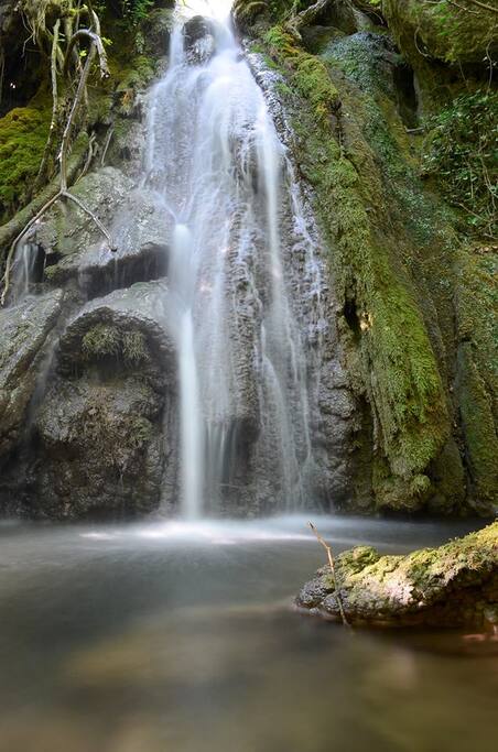 La cascade au fond de la propriété