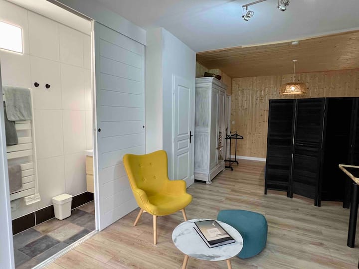 Joli Studio Entièrement Rénové Avec Parking - Gujan-Mestras