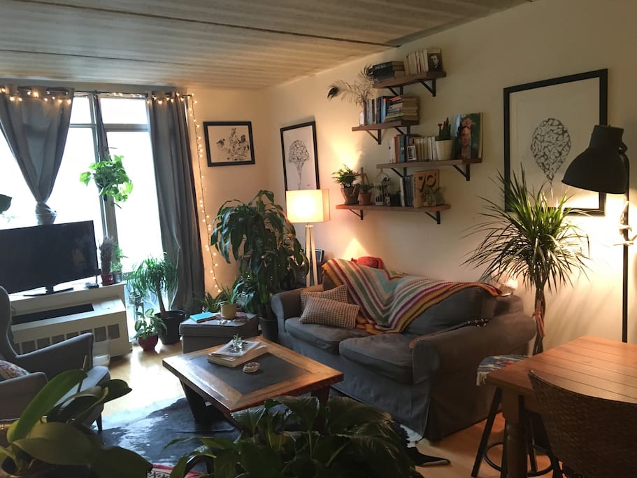 The living room is drenched in light due to the floor to ceiling windows and gives the room an added sense of space. Filled with plants this room almost feels like an indoor garden.
