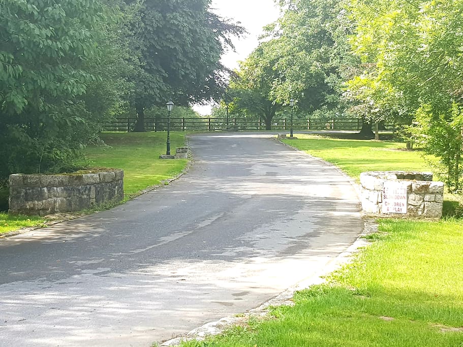 The avenue towards Grove Cottage & The Lodge