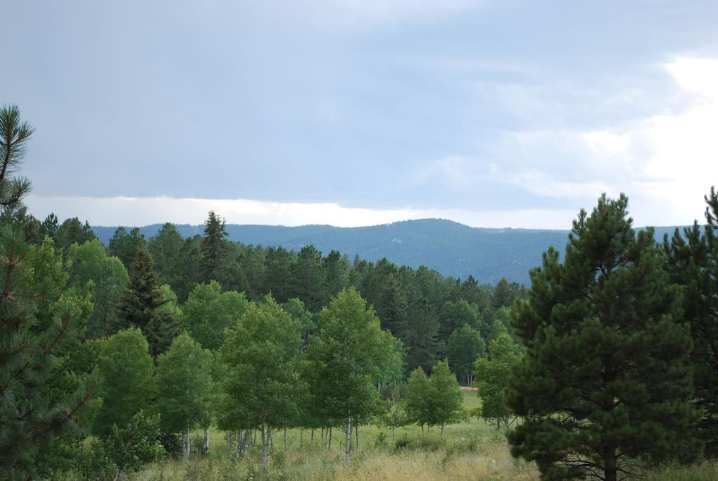 View from front door west