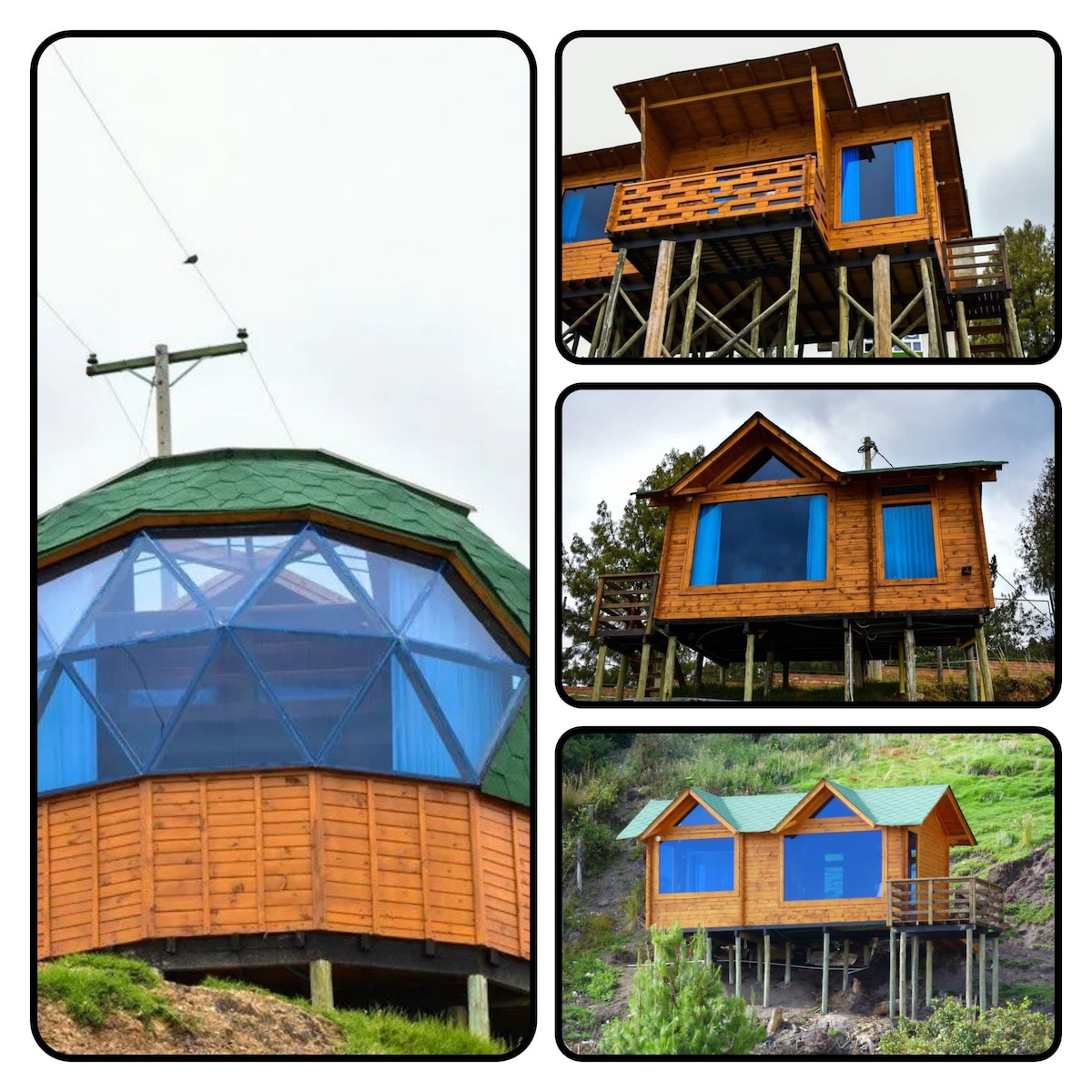 A cluster of wooden structures is presented, featuring large blue windows that create a bright and open atmosphere. The buildings are elevated on stilts, with a sloping green roof, blending harmoniously with the surrounding natural landscape.