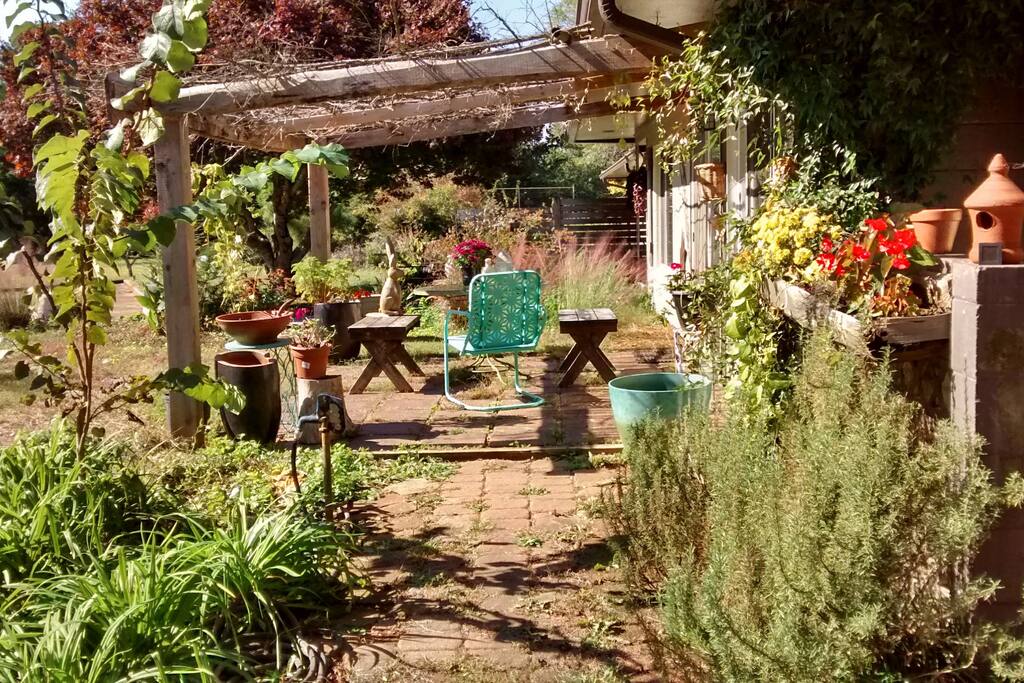 kitchen garden