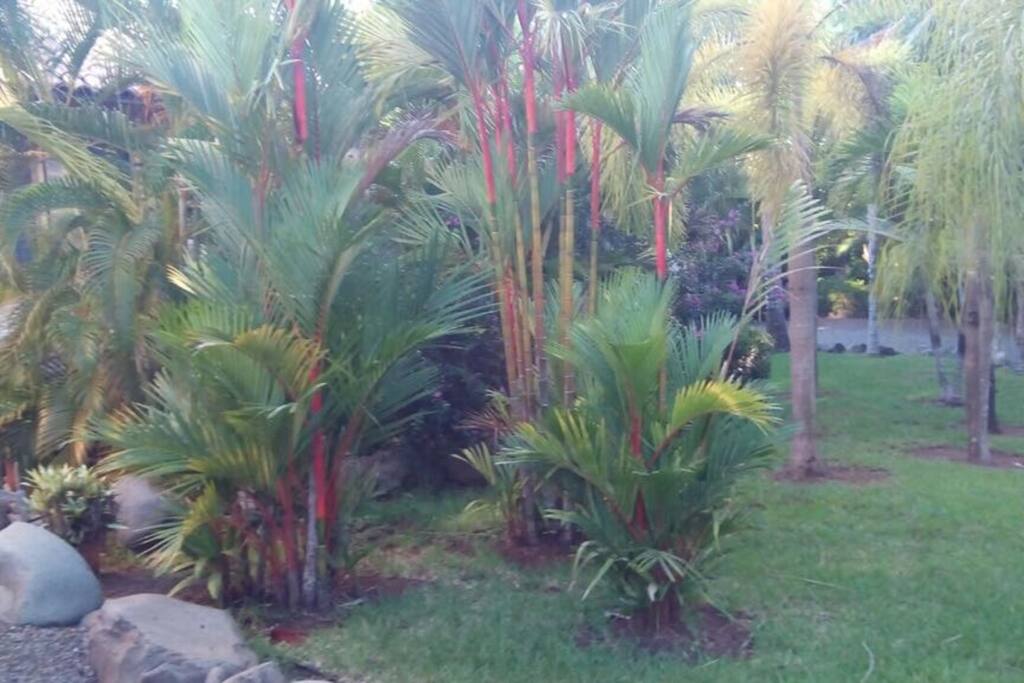 Grounds at Castillo