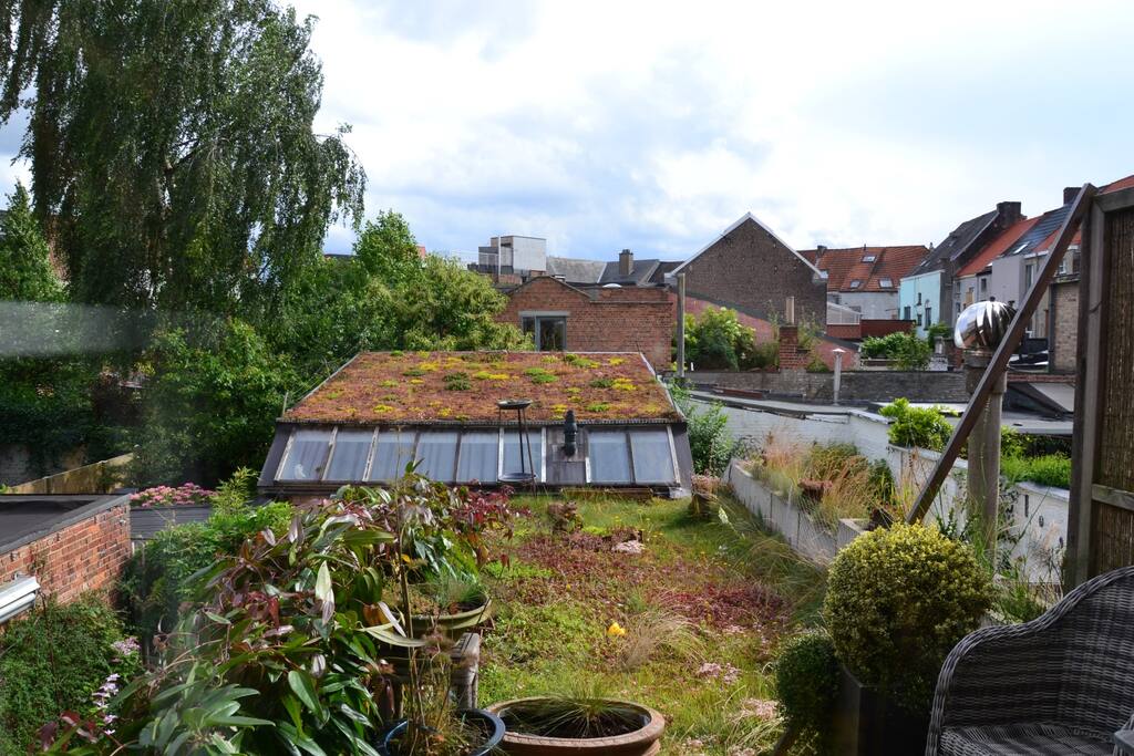 daktuin