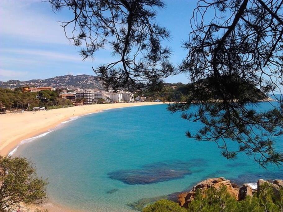 Appartamenti In Affitto Lloret De Mar Appartamenti In Affitto Lloret De Mar