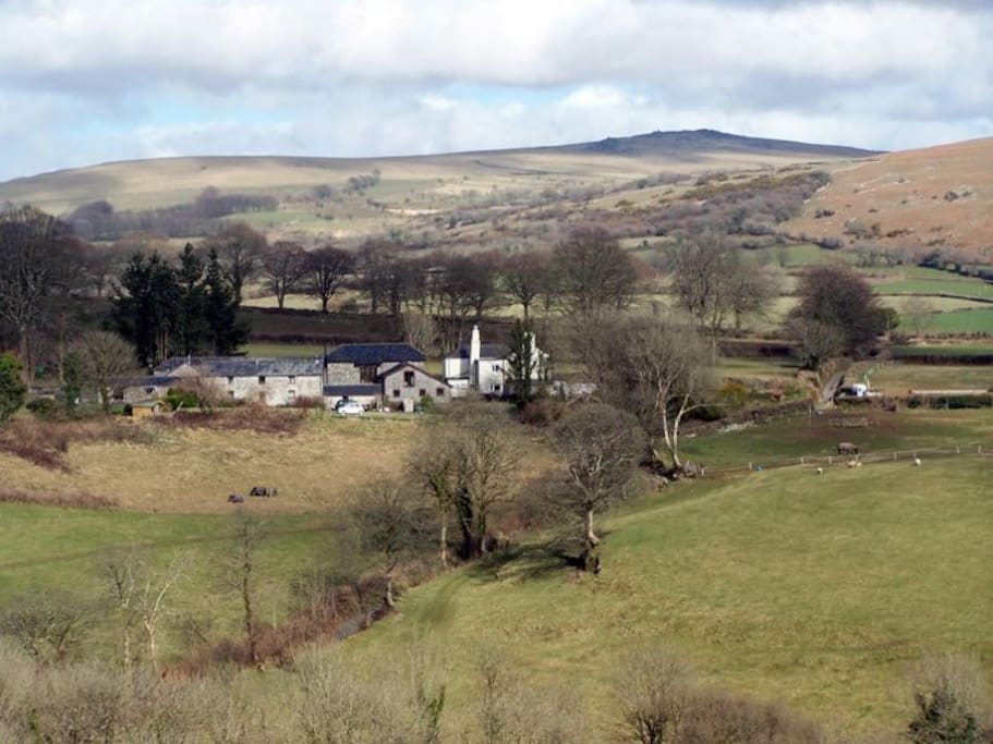Wilson Cottage setting