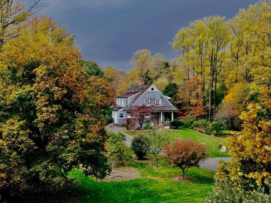 Fall colors