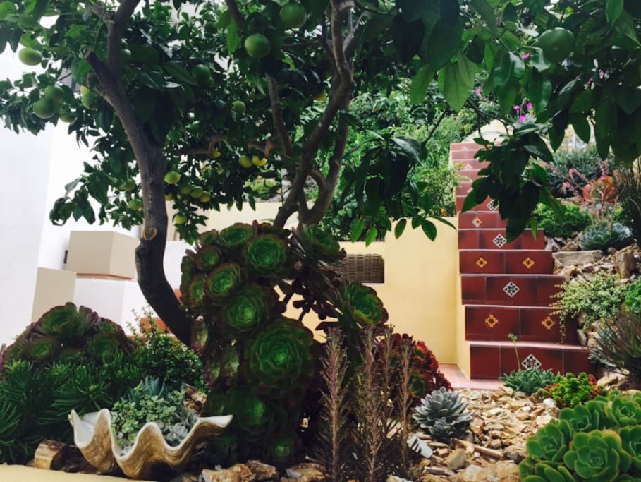Custom designed landscaping and multiple sitting areas