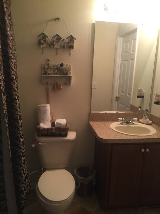 Guest bathroom