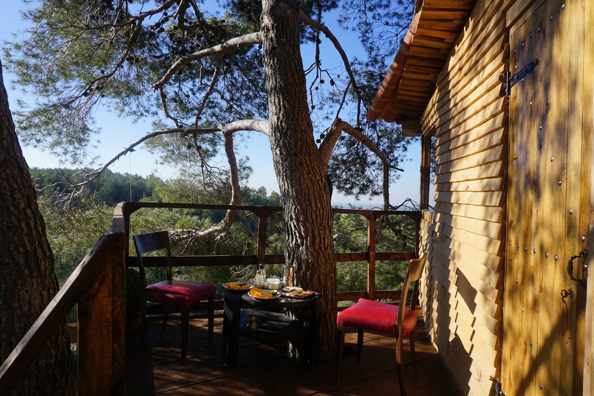 A wooden terrace features a small round table set with food and drinks, surrounded by two red chairs. A tall tree is integrated into the design, providing natural shade. Scenic views of the forest extend in the background, creating a peaceful atmosphere.