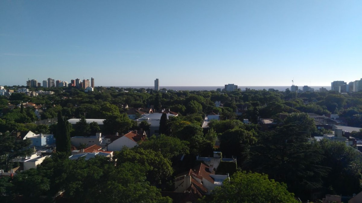 A panoramic view of a neighborhood is presented, showcasing a mix of greenery and urban buildings. The horizon features a glimpse of the river against a clear blue sky, with tall buildings visible in the distance.