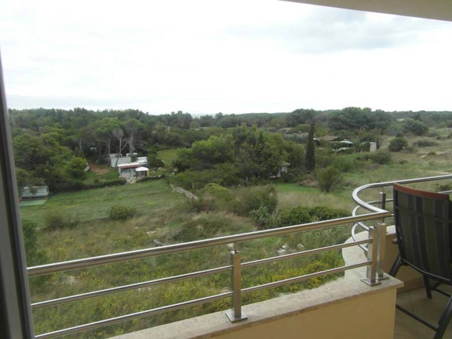 View towards the park of natuture
