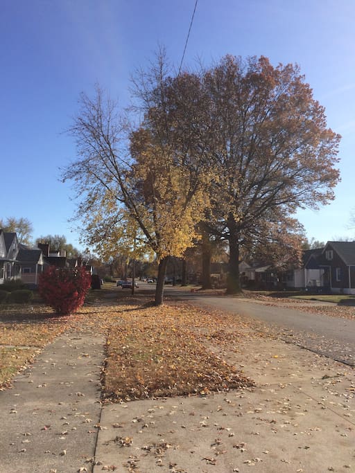 Street view. One mile walk to Churchill Downs!