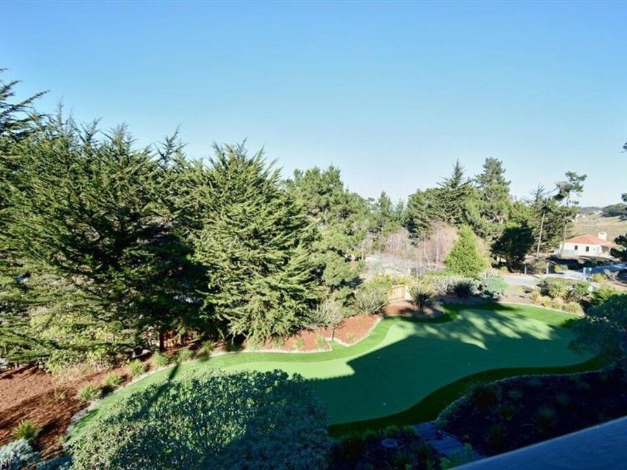Turf putting green