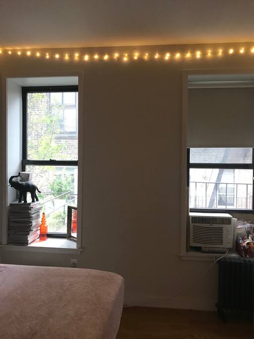 Two windows facing the backyard.