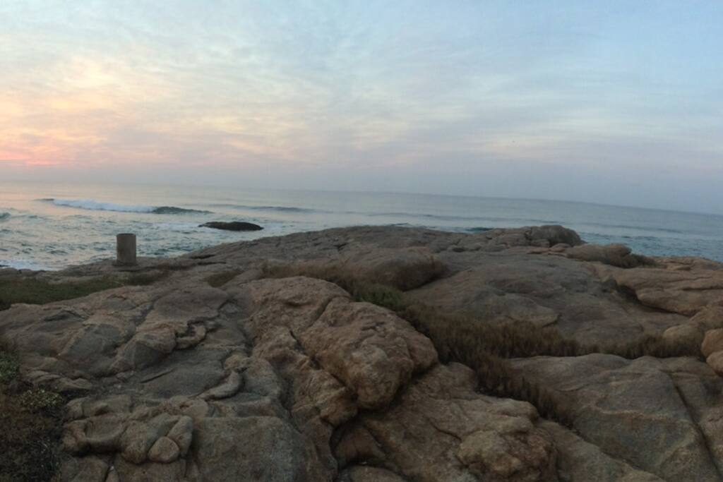 Perfect dose of vitamin Sea
