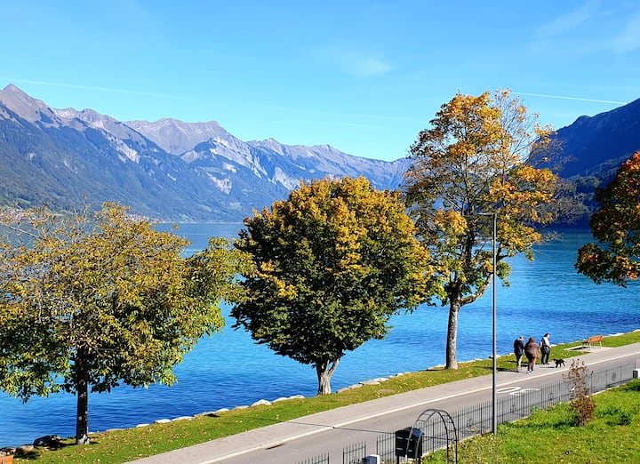 Lake House 2 Flats for Rent in Bönigen, Bern, Switzerland Airbnb