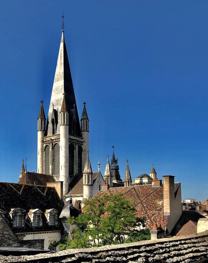 Burgundian rooftop apartment