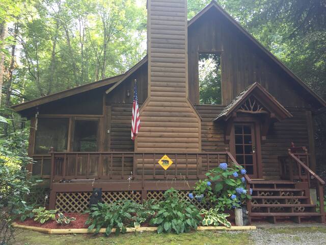 Clayton Ga Cabin Rentals Airbnb