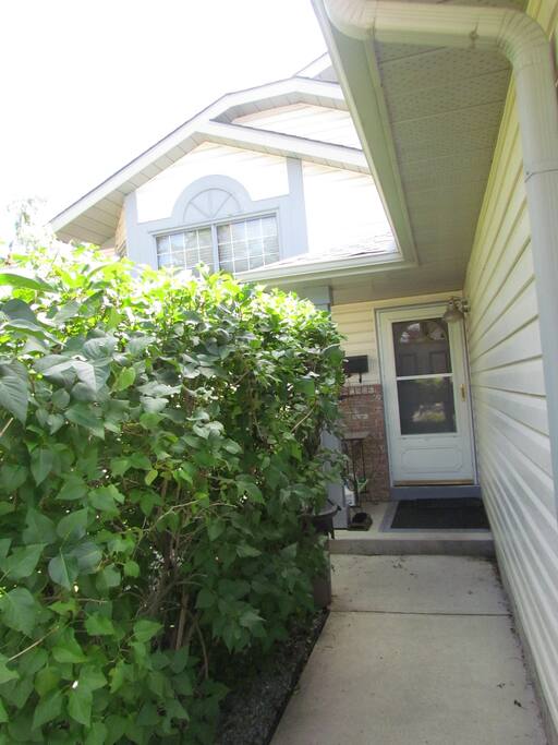 Lilac Hedge, Front Door with Screen Door.