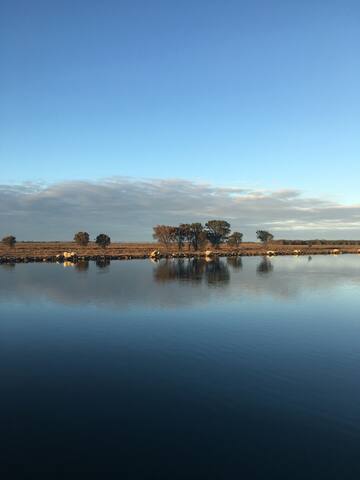 Luxury 2 storey home with private jetty Mandurah gallery image 4