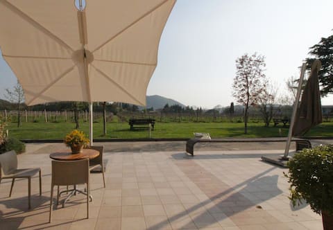 Farmhouse '700 in the vineyard - Clara