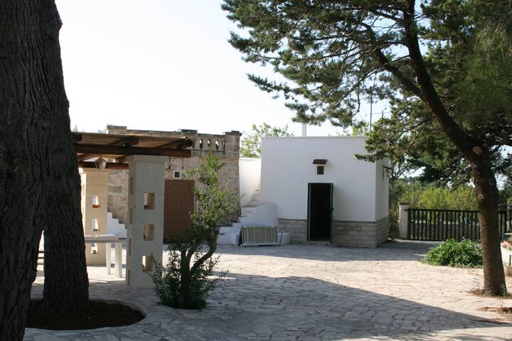 OTIUM 45 gallery image 2