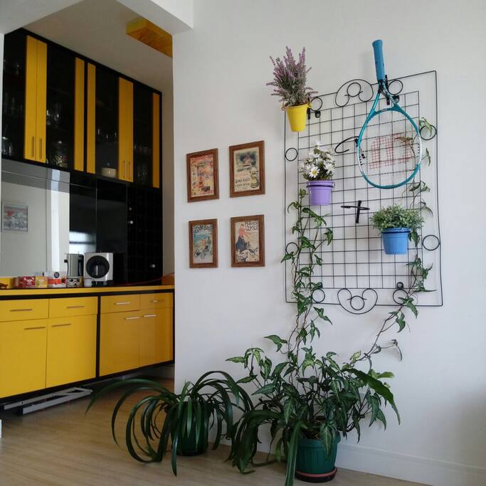 Este é o jardim vertical e o corredor, com o móvel/bar.