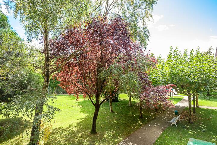 Beautiful 4 Bedroom apartment with pool&garden gallery image 5