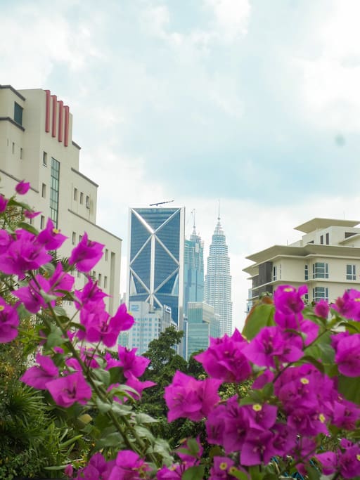 KLCC twin tower from private garden