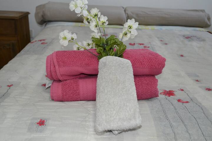 Mendoza Apart- depto 23