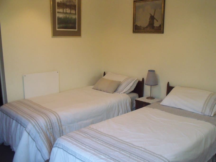 Two king single beds