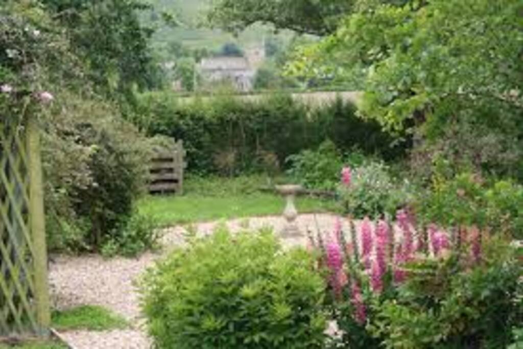Private wildlife garden