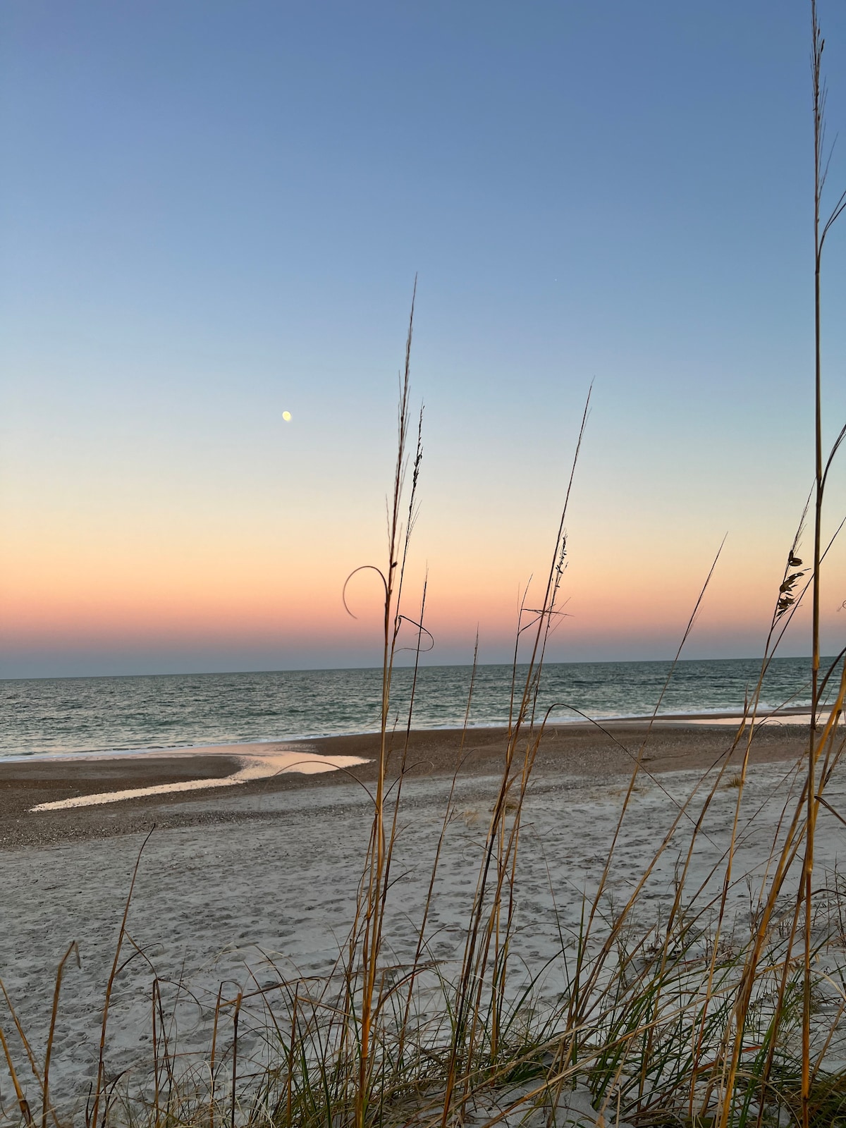 A serene beach scene is captured during twilight, displaying gentle waves lapping at the shore. Tall grasses frame the image in the foreground, while a soft gradient of colors transitions from rich pink to soft blue in the sky, accentuated by a visible moon.