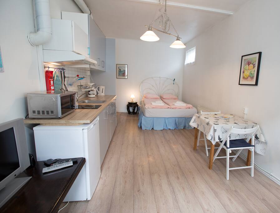 Our cozy studio apartment