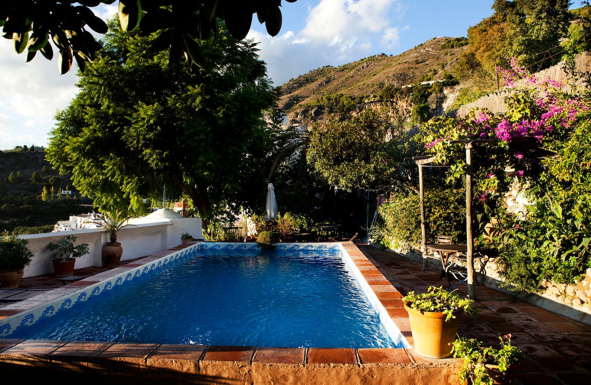 A serene outdoor space features a refreshing swimming pool surrounded by lush greenery and colorful flowers. Potted plants line the pool's edge, while a sunlit patio offers seating options under the shade of trees, creating a peaceful retreat for relaxation.