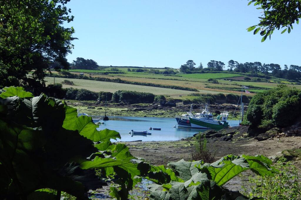 le bas du jardin avec sentier menant aux plages.