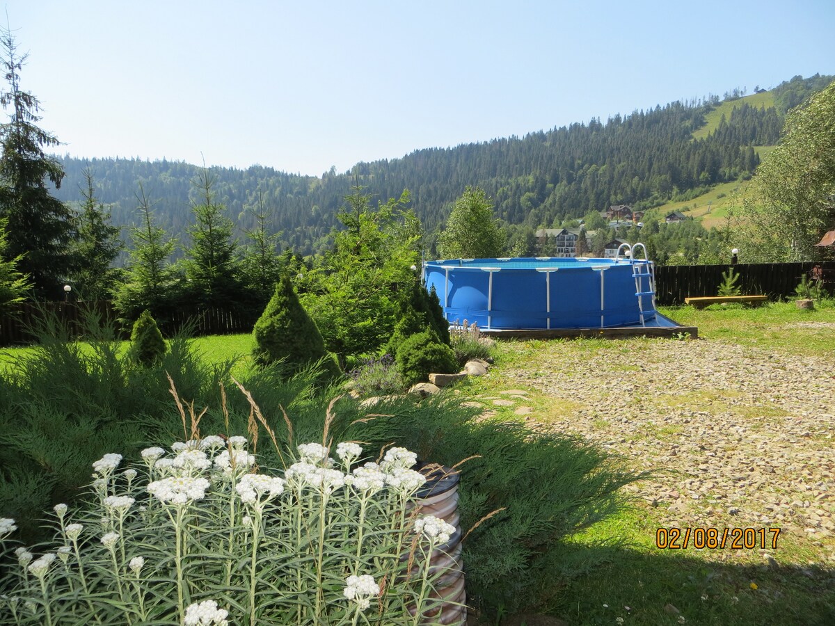 A bright outdoor area is presented featuring a round above-ground pool adjacent to a lush green lawn. Surrounding shrubs and trees create a natural setting, while flowering plants add texture to the garden space. Majestic mountains can be seen in the background.