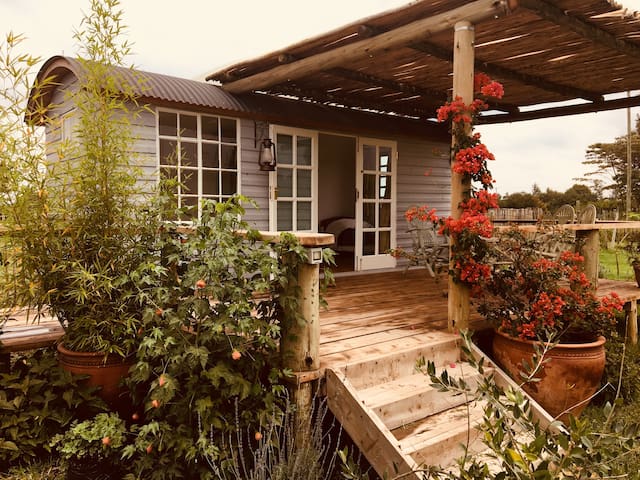 Airbnb Nanyuki Holiday Rentals Places To Stay Laikipia