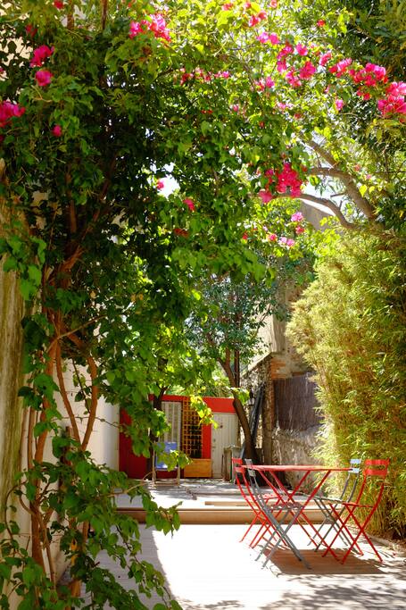 jardin