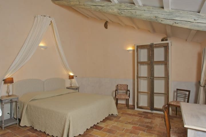 Soba Apricot (Luberon)