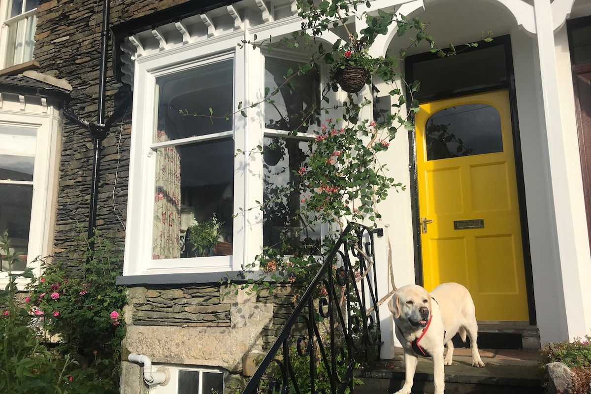 dog friendly windermere