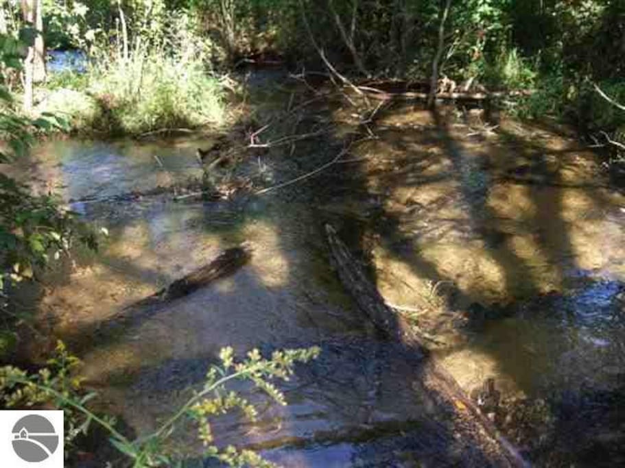 Acme Creek bordering entire back yard