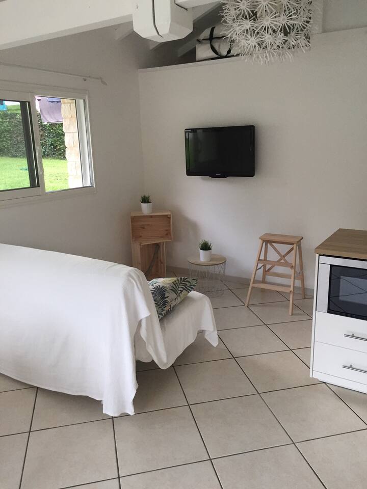 带电视/沙发床的客厅 