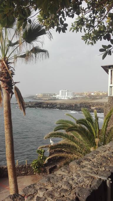 Landscape view