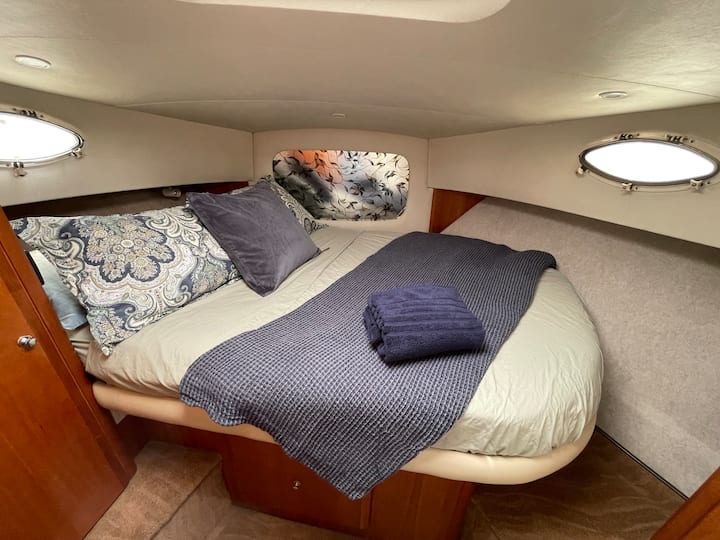 Camarote para huéspedes con baño grande y ducha
Literas dobles
Cabezal privado con cabina de ducha y acceso doble
Apertura de puertos con pantallas
Televisión de pantalla plana