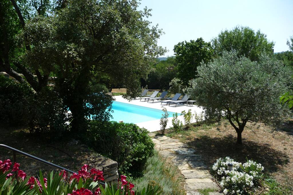 Depuis la maison, vue sur la piscine