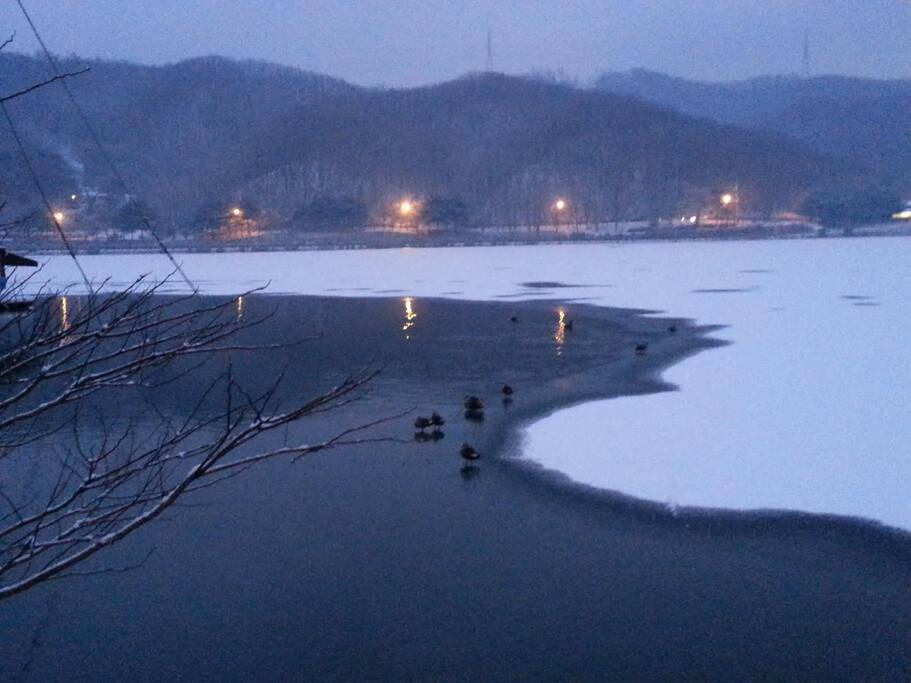 율동공원