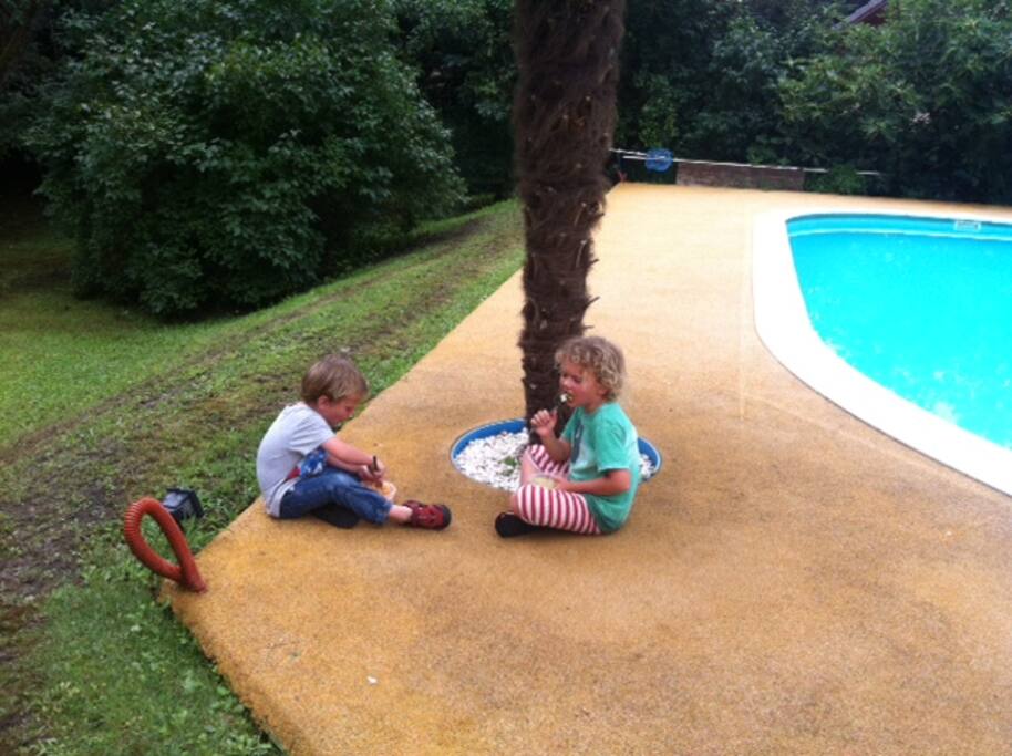 piscine/pool